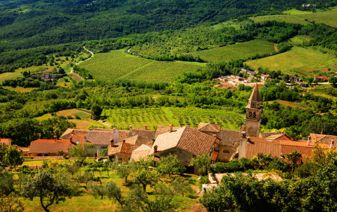 Wine Estates & Scenic Tastings